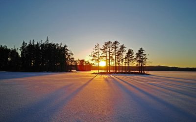 SOLSTICIO DE INVIERNO 2025. REFLEXIONES